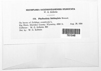 Image Associated With the Occurence